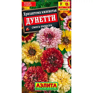 Семена Хризантема Дунетти смесь окрасок 