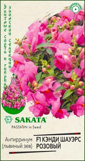 Семена Львиный зев (Антирринум) Кэнди Шауэрс розовый F1 <br>
 <br>
 Антирринум (Львиный зев) – декоративный и очень популярный однолетник. В настоящее время создано множество его форм, которые отличаются окраской цветков, высотой и формой куста. Данный гибрид является редкой ампельной разновидностью растения, формирующей аккуратный мини-шар из нежно-розовых кистевидных соцветий. Растение карликовое, высотой 20 см, цветет с конца июня до поздних заморозков. Культура холодостойкая и светолюбивая, к почвам нетребовательная, в засушливый период нуждается в поливе. Выращивают Львиный зев рассадным способом. <br>